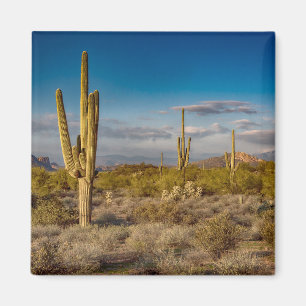 Aimant Deserts Superstition Mountains, Arizona