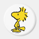 Design classique Woodstock