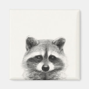 Aimant Dessin au crayon de Raccoon