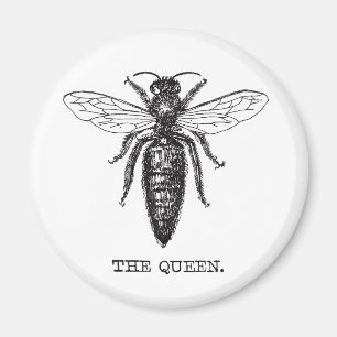 Aimant Dessin classique de l'illustration de Queen Bee