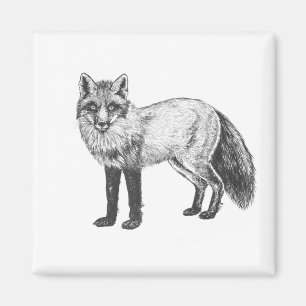 Aimant Dessin Fox