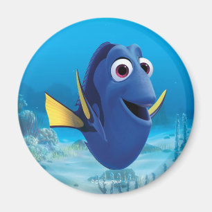 Aimant Destin  Trouver Dory
