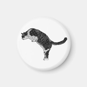 Aimant Détail de chat magnétique