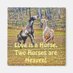 Aimant Deux Chevaux de Peinture Pinto Jouant Équine Art D