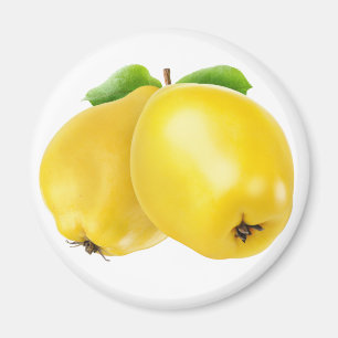 Aimant Deux fruits de coing