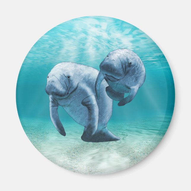 Aimant Deux Manatees (Devant)