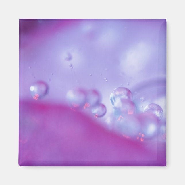 Aimant Dew baisse sur le pétale de fleur abstrait. Crédit (Devant)