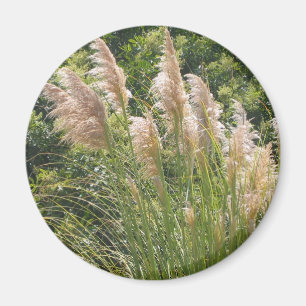 Aimant d'herbe des pampas