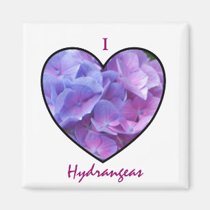 Aimant d'hortensias
