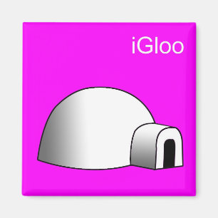 aimant d'igloo