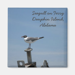 Aimant d'île de dauphin, Alabama