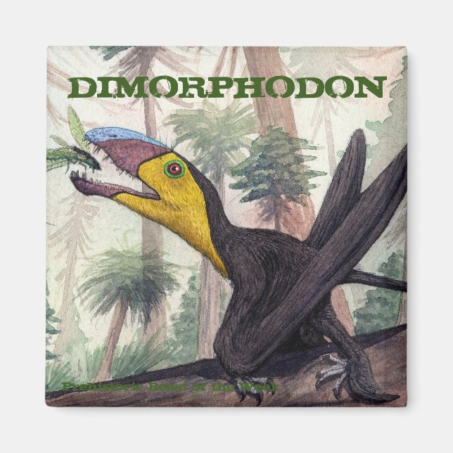 Aimant Dimorphodon (Devant)