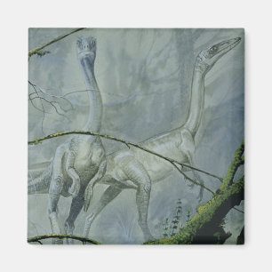 Aimant Dinosaures vintages, Megapnosaurus alias Syntarsus