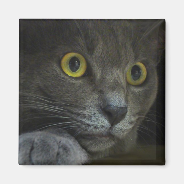 Aimant d'intensité (Devant)