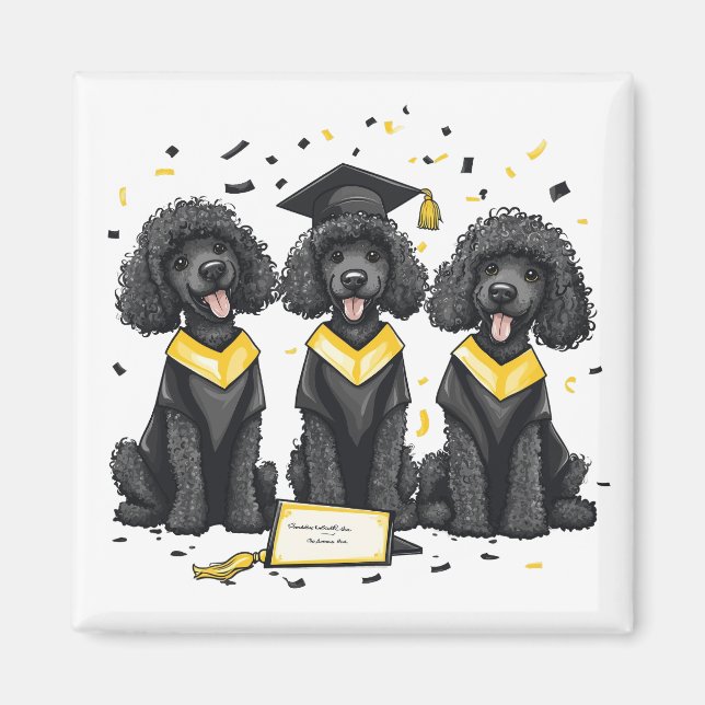 Aimant Diplôme Chiens de caniche standard (Devant)