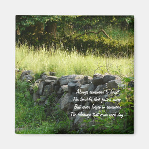 Aimant Dire d'Irlandais/campagne