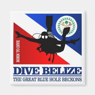 Aimant Dive Belize DF2