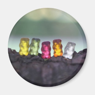Aimant Diversité colorée Ours de gomme Photographie