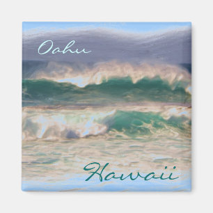 Aimant d'Oahu Hawaï