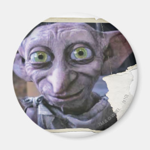 Aimant Dobby 1