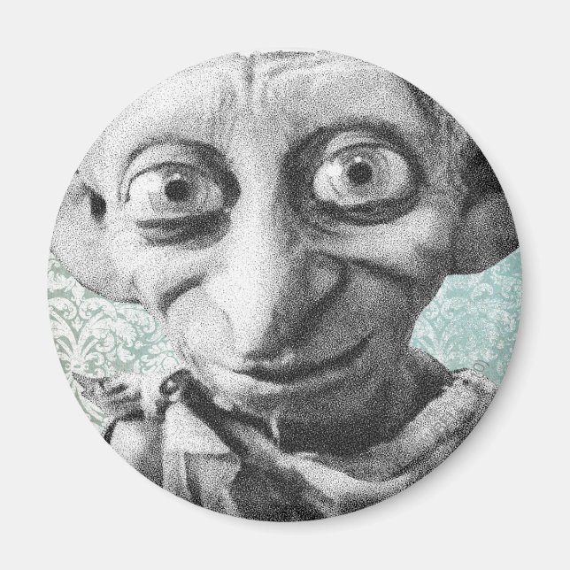 Aimant Dobby 4 (Devant)