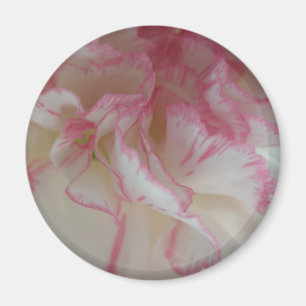 Aimant d'oeillet blanc et rose