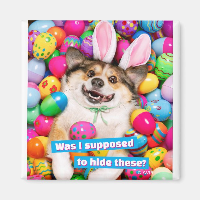 Aimant Dog Laying on Easter Eggs (Devant)