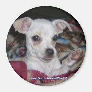 Aimant Dog-Magnet. mignon