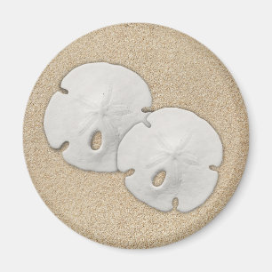 Aimant Dollar De Sable