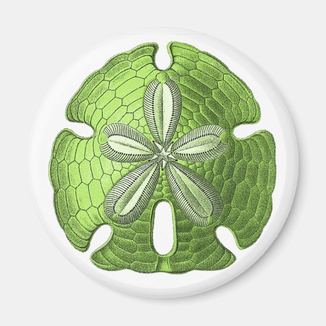 Aimant Dollar De Sable Vert (Devant)