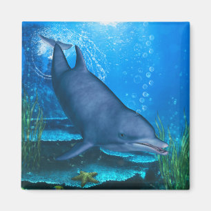 Aimant Dolphin sous-marin