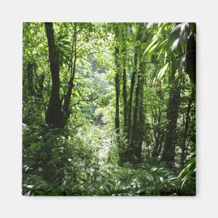 Aimant Dominicain Forêt de pluie II Vert tropical
