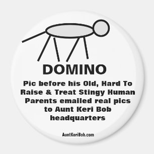Aimant Domino