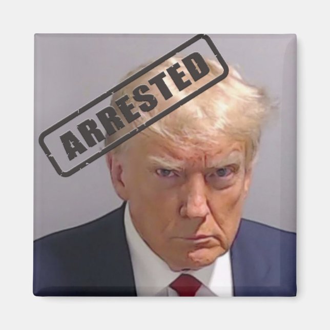 Aimant Donald Trump "arrêté" le magnat de la capture d'éc (Devant)
