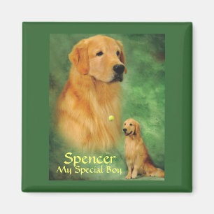 Aimant d'or de Spencer