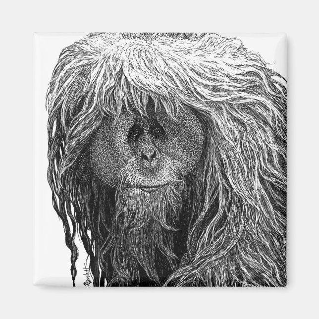 Aimant d'Orangoutan (Devant)