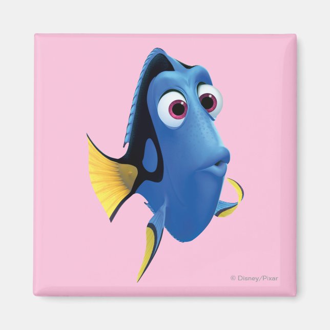 Aimant Dory 4 (Devant)
