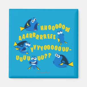 Aimant Dory Comment Es-Tu ?