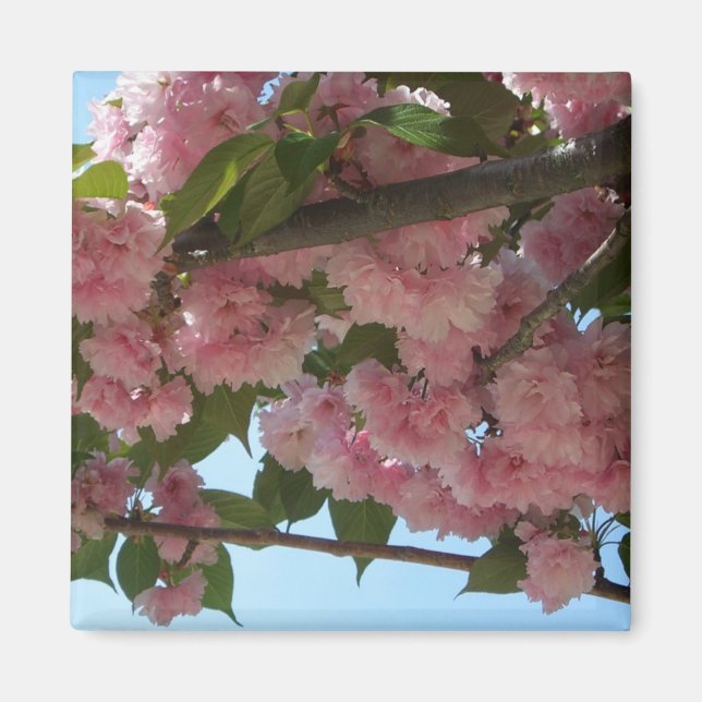 Aimant Double Blossoming Cherry (Devant)