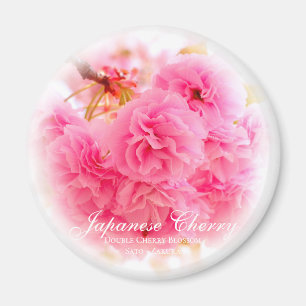Aimant Double Cherry Blossom: Sato-zakura