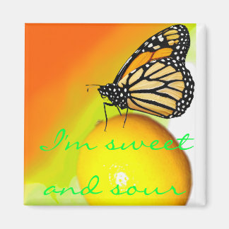 Aimant doux et aigre