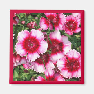 Aimant doux william1Magnet