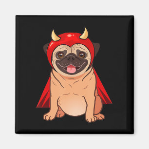 Aimant Dracula Vampire Carlin chien mignon Carlin costume