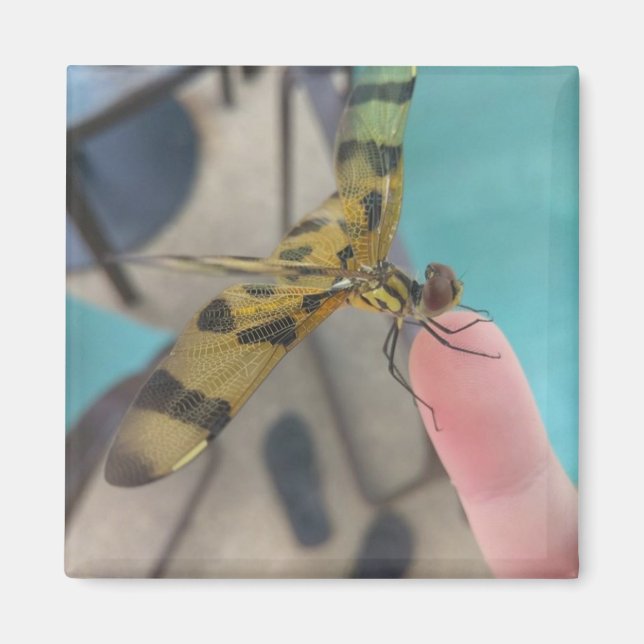 Aimant Dragon Fly (Devant)