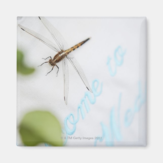 Aimant Dragonfly 4 (Devant)