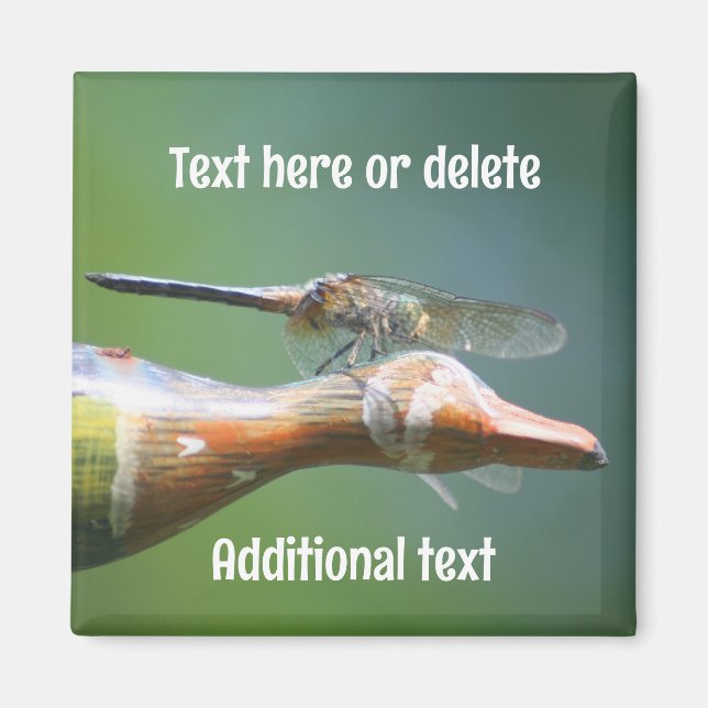 Aimant Dragonfly Co Pilot Nature Personalized (Devant)