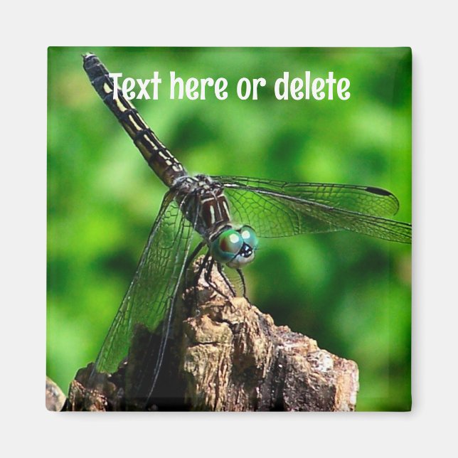 Aimant Dragonfly Nature Personalized (Devant)