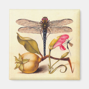Aimant Dragonfly, Pear, Carnation et Insect