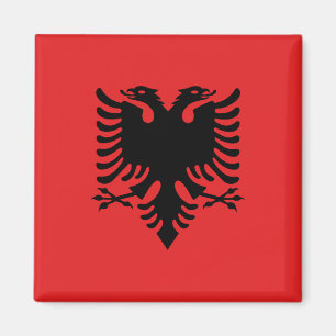 Aimant Drapeau Albanie