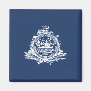 Aimant Drapeau de Charleston (Caroline du Sud)